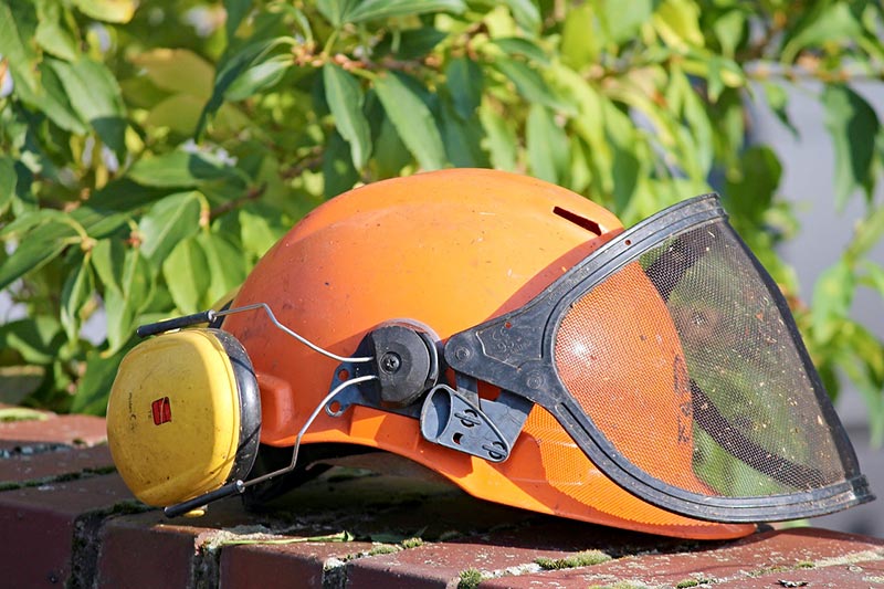 Summer Ear Protection