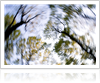 Did You Know: Top Vestibular Disorders Facts