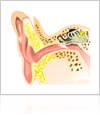 Take the Hearing Loss Self-Test